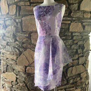 Cenia New York Sleeveless Overskirted Sheath Dress